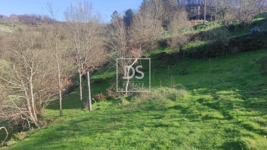 Terreno Agricola ou Rústico para Venda em Loivos do Monte Foto 4