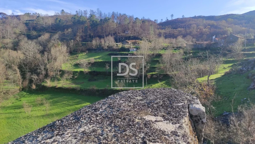 Terreno Agricola ou Rústico para Venda em Loivos do Monte Foto 7