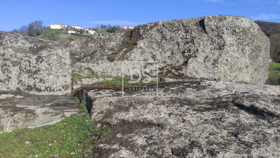 Terreno Agricola ou Rústico para Venda em Loivos do Monte Foto 8