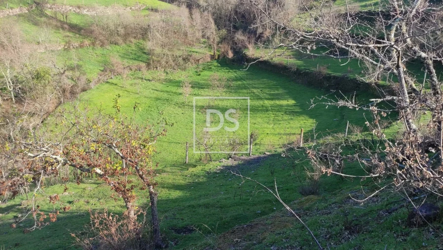 Terreno Agricola ou Rústico para Venda em Loivos do Monte Foto 6