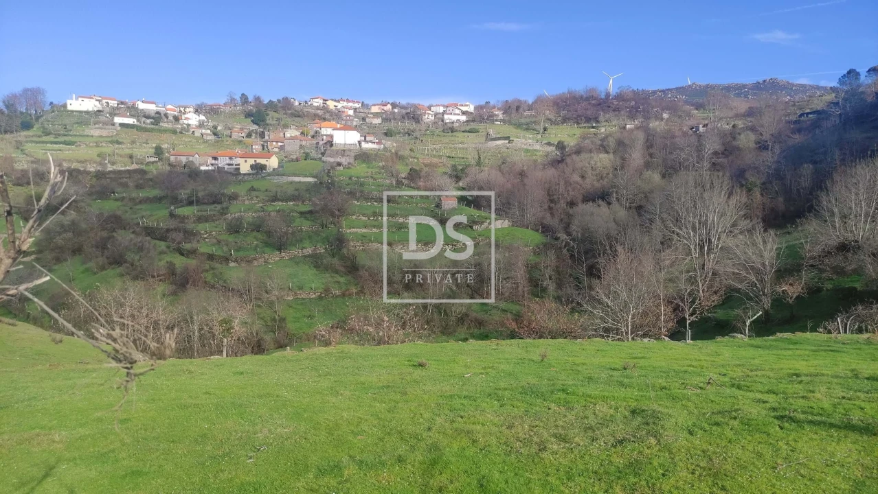 Terreno Agricola ou Rústico para Venda em Loivos do Monte Foto 1