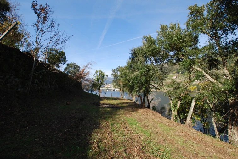 Moradia T3 para Venda em Oliveira do Douro Foto 4