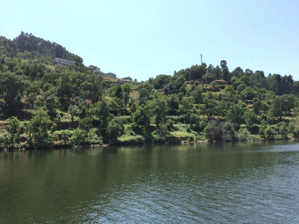 Moradia T3 para Venda em Oliveira do Douro Foto 5