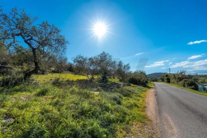 Terreno para Venda em Santa Barbara de Nexe