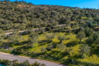 Terreno para Venda em Santa Barbara de Nexe