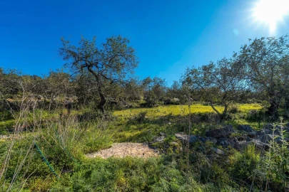 Terreno para Venda em Santa Barbara de Nexe