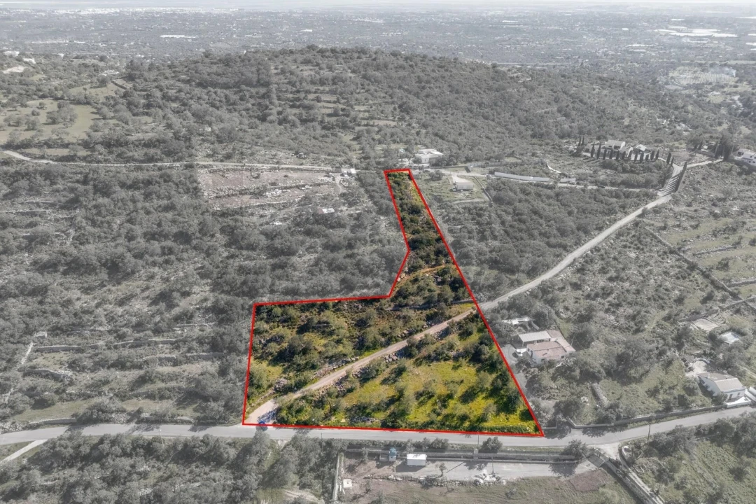 Terreno para Venda em Santa Barbara de Nexe Foto 4