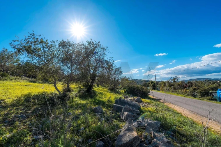 Terreno para Venda em Santa Barbara de Nexe Foto 9