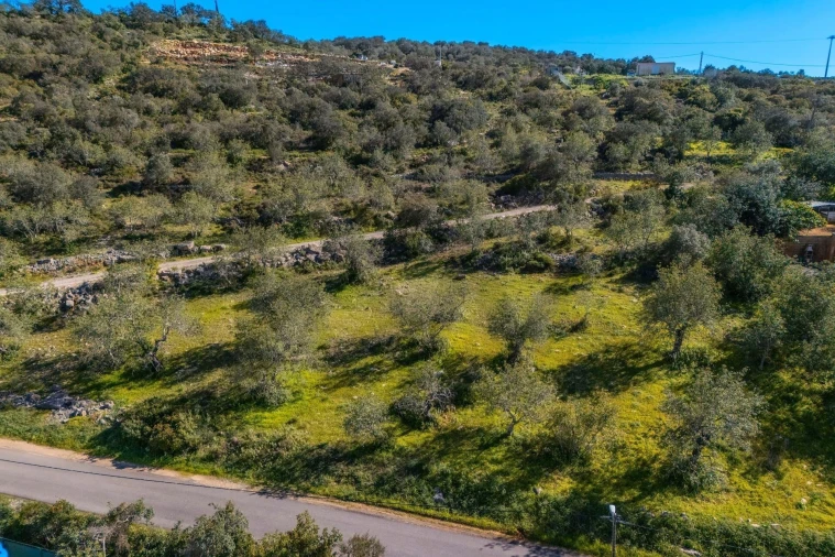 Terreno para Venda em Santa Barbara de Nexe Foto 11
