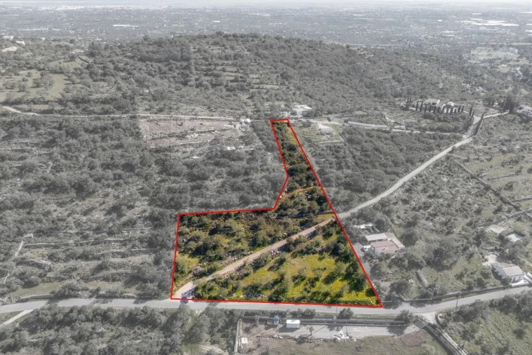 Terreno para Venda em Santa Barbara de Nexe Foto 4