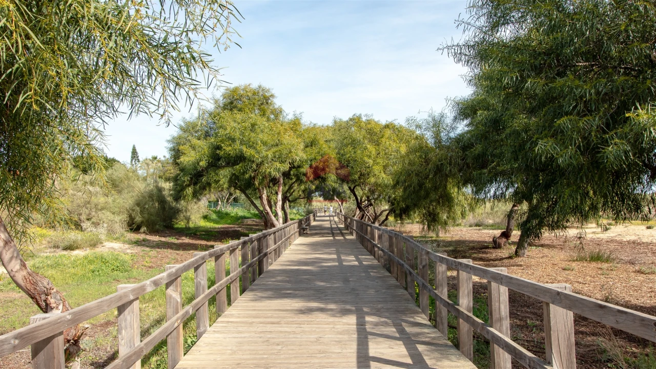 Apartamento T1 para Venda em Vila Nova de Cacela Foto 12