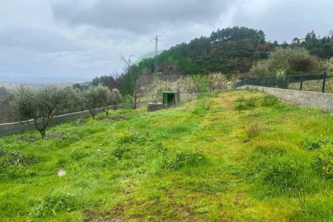 Moradia T4 para Venda em Santiago de Ribeira de Alhariz Foto 3