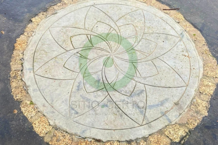 Moradia T4 para Venda em Santiago de Ribeira de Alhariz Foto 9