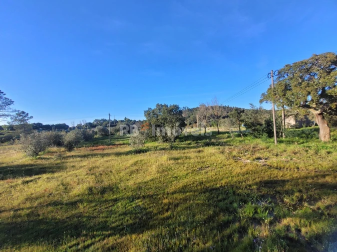 Terreno para Venda em Atalaia Foto 3
