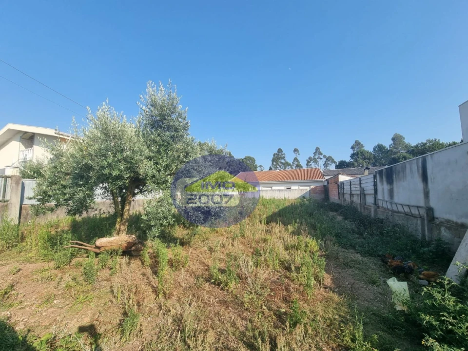 Terreno para Venda em Nogueira da Regedoura Foto 9