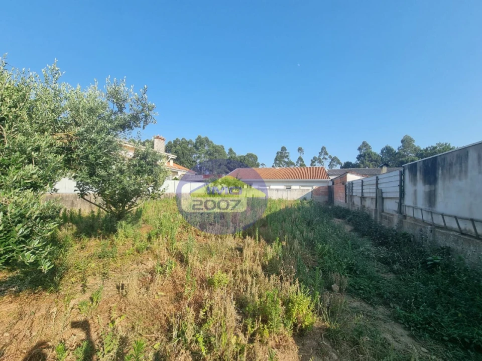 Terreno para Venda em Nogueira da Regedoura Foto 13