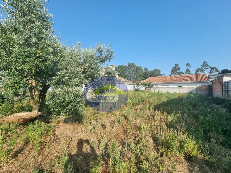 Terreno para Venda em Nogueira da Regedoura Foto 14