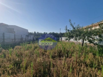 Terreno para Venda em Nogueira da Regedoura