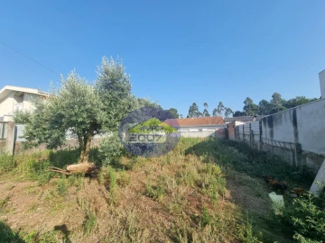 Terreno para Venda em Nogueira da Regedoura