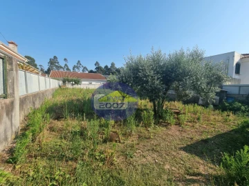 Terreno para Venda em Nogueira da Regedoura