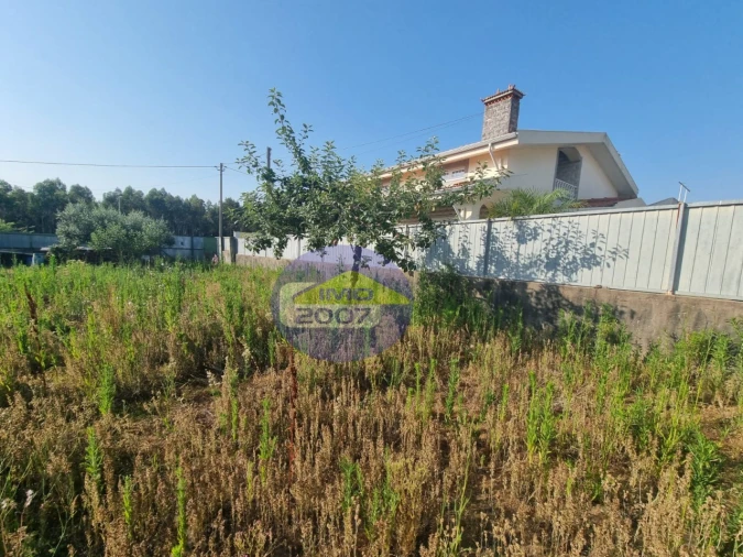 Terreno para Venda em Nogueira da Regedoura Foto 8