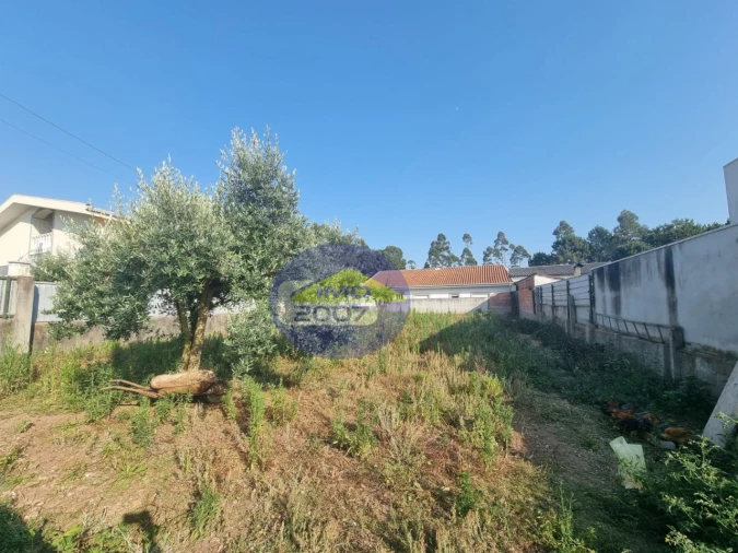 Terreno para Venda em Nogueira da Regedoura Foto 9