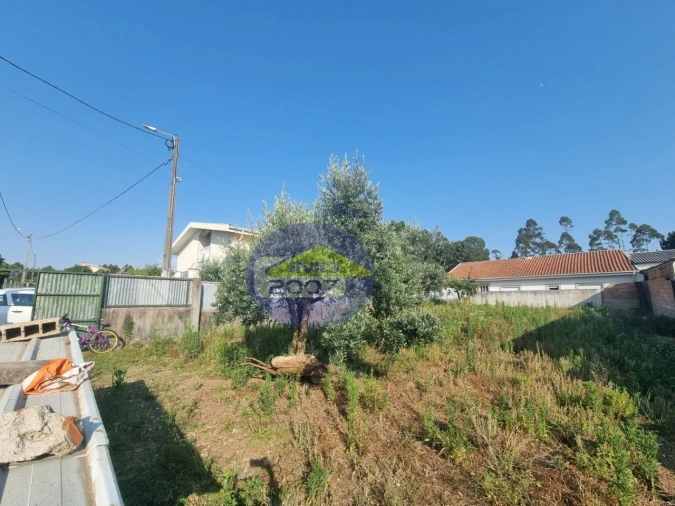 Terreno para Venda em Nogueira da Regedoura Foto 12
