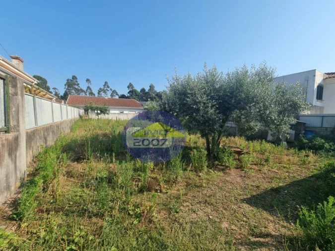 Terreno para Venda em Nogueira da Regedoura Foto 15