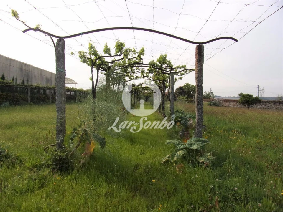 Quinta T6 para Venda em Ruivães e Novais Foto 7