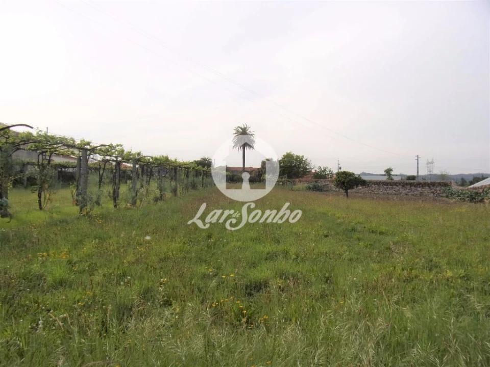 Quinta T6 para Venda em Ruivães e Novais Foto 8