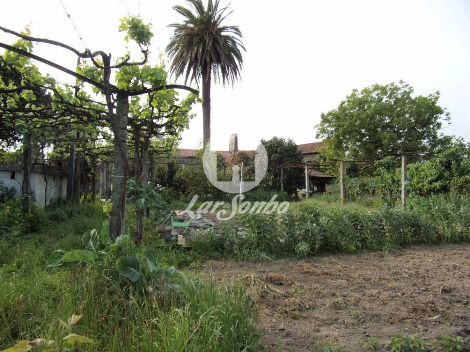 Quinta T6 para Venda em Ruivães e Novais Foto 19