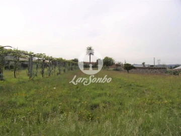 Quinta T6 para Venda em Ruivães e Novais