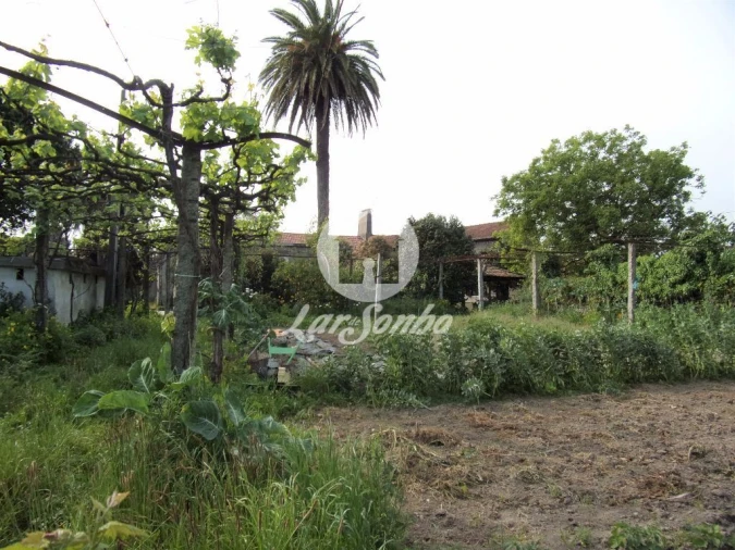Quinta T6 para Venda em Ruivães e Novais Foto 19