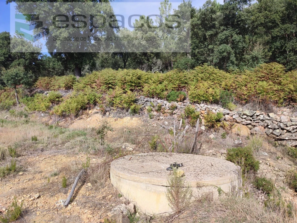 Quinta para Venda em Penha Garcia Foto 28