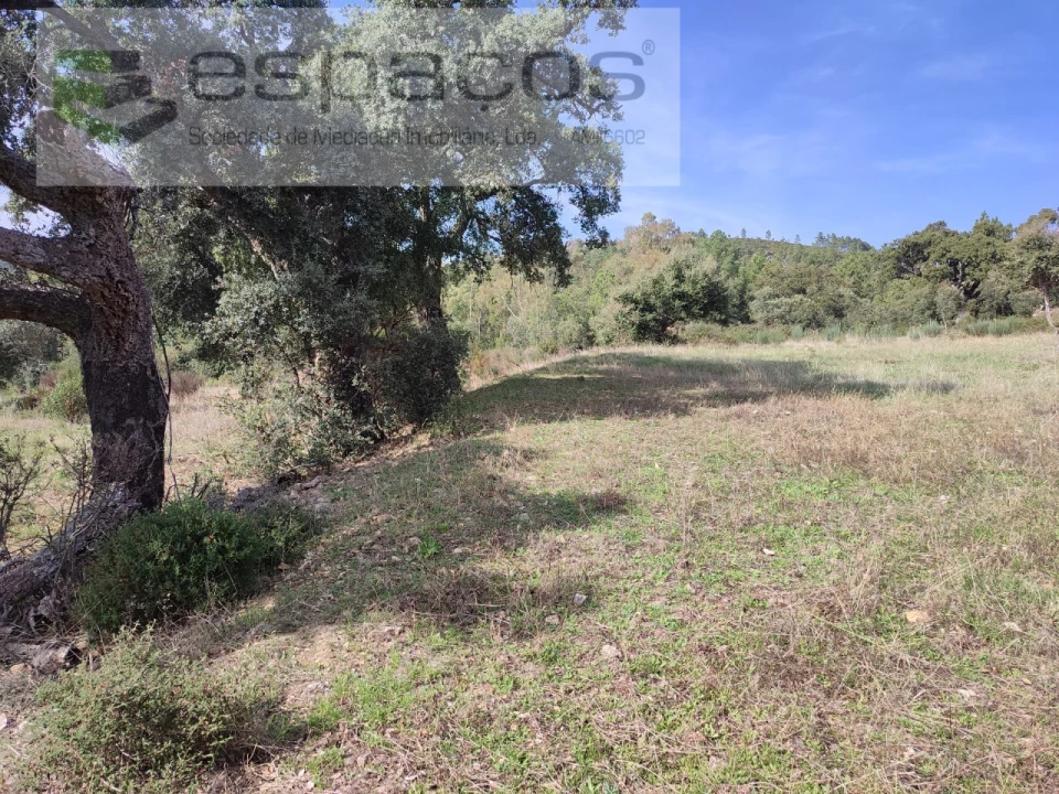 Quinta para Venda em Penha Garcia Foto 34