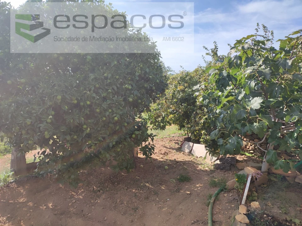 Quinta para Venda em Penha Garcia Foto 24