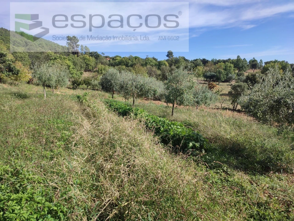 Quinta para Venda em Penha Garcia Foto 38
