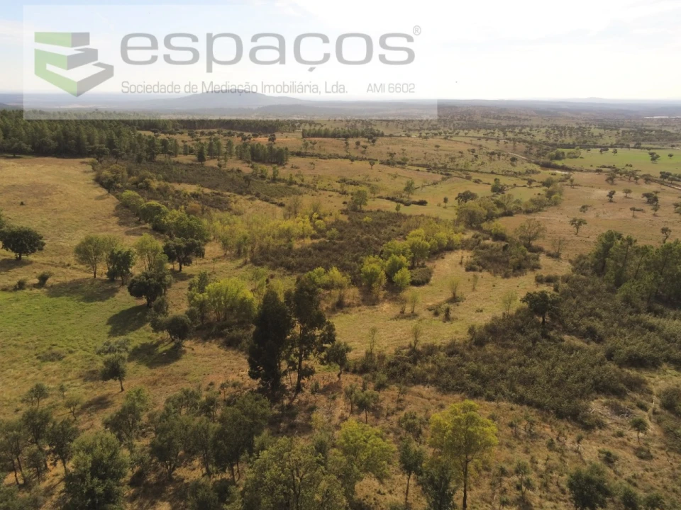 Quinta para Venda em Penha Garcia Foto 45
