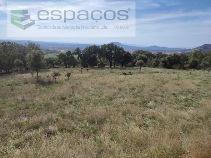 Quinta para Venda em Penha Garcia Foto 26