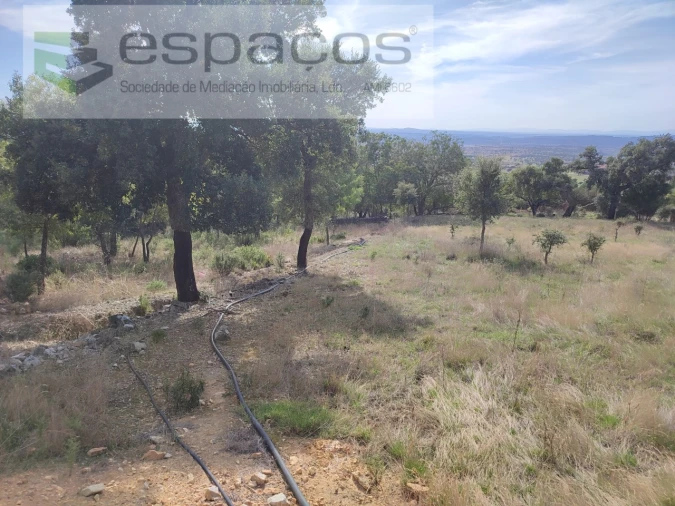 Quinta para Venda em Penha Garcia Foto 29