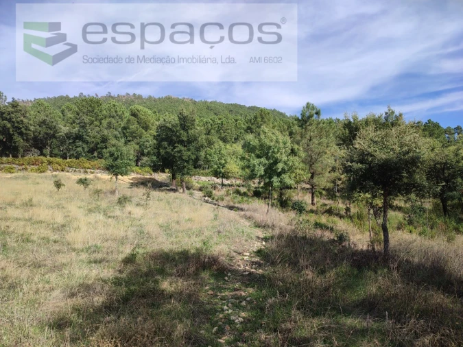 Quinta para Venda em Penha Garcia Foto 35