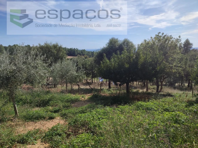 Quinta para Venda em Penha Garcia Foto 37