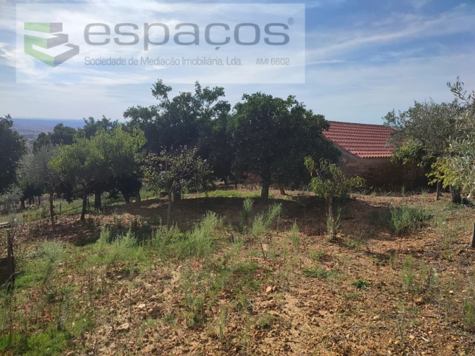 Quinta para Venda em Penha Garcia Foto 25