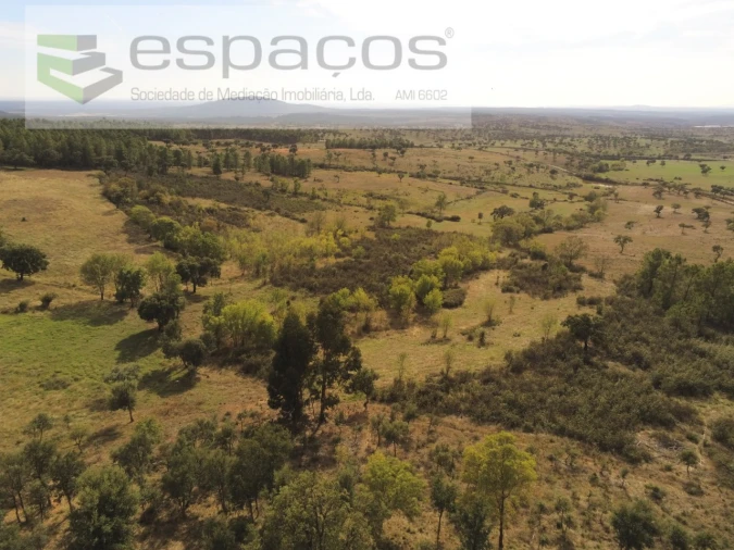 Quinta para Venda em Penha Garcia Foto 45