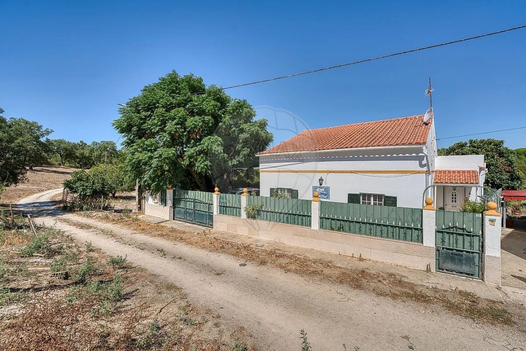 Moradia T5 para Venda em São Jose da Lamarosa Foto 3