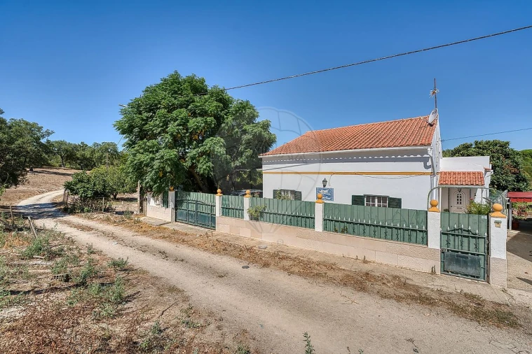 Moradia T5 para Venda em São Jose da Lamarosa Foto 3