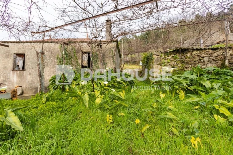 Quinta T2 para Venda em Candemil e Gondar Foto 9