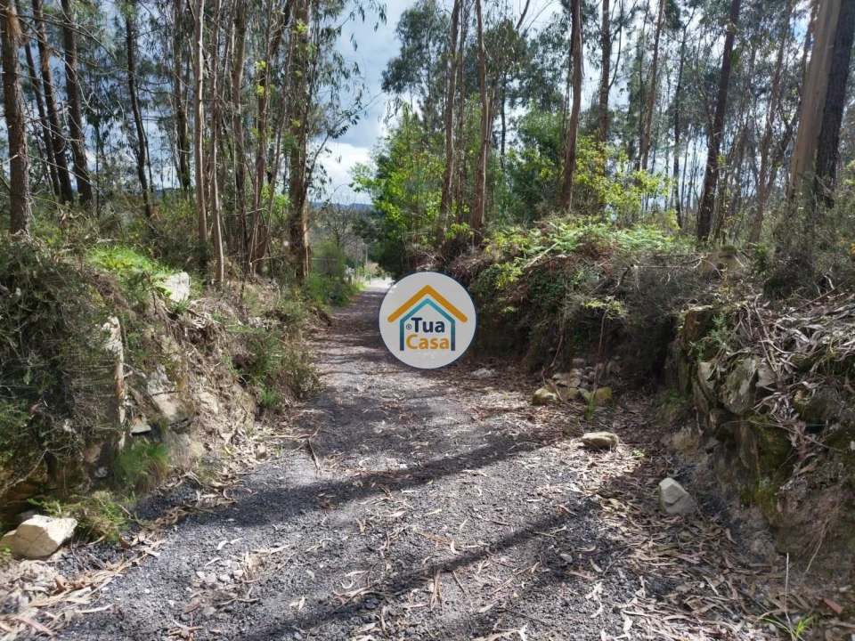 Terreno para Venda em Silveiros e Rio Covo (Santa Eulália) Foto 8