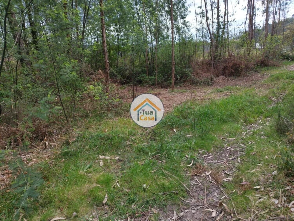 Terreno para Venda em Silveiros e Rio Covo (Santa Eulália) Foto 11