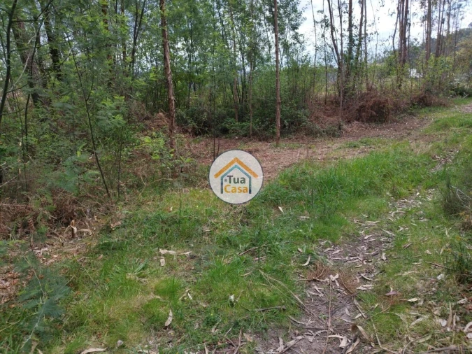 Terreno para Venda em Silveiros e Rio Covo (Santa Eulália) Foto 11